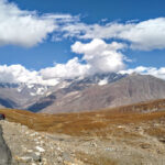 Gallery Thumbnail 2