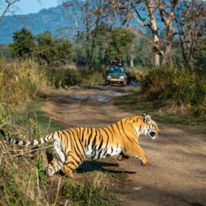 Jim Corbett Package