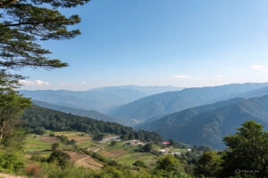 Nainital Kausani & Jim Corbett Package